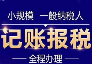 海南省财政厅关于做好2022年代理记账行业管理工作的通知